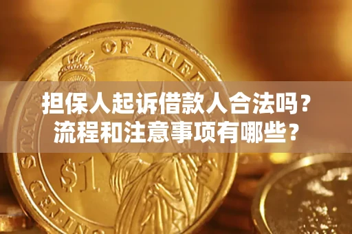 武汉担保人起诉借款人合法吗？流程和注意事项有哪些？