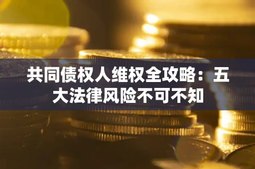 武汉共同债权人维权全攻略：五大法律风险不可不知