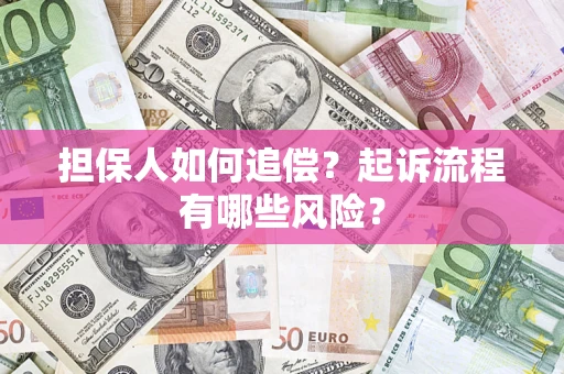 武汉担保人如何追偿？起诉流程有哪些风险？