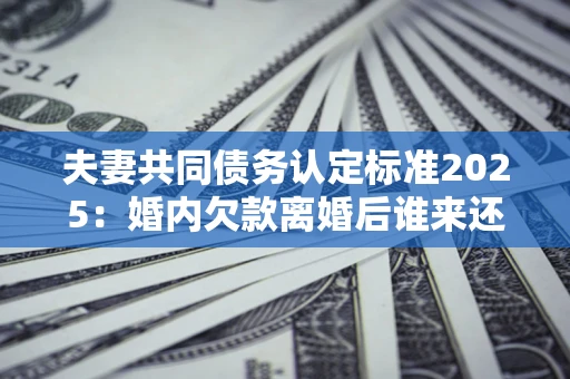 武汉夫妻共同债务认定标准2025：婚内欠款离婚后谁来还？