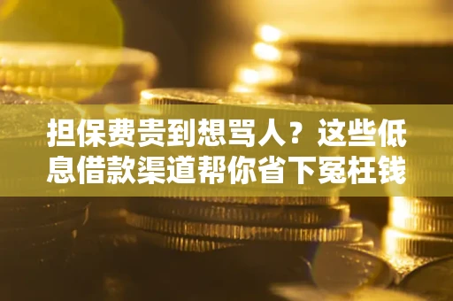 武汉担保费贵到想骂人？这些低息借款渠道帮你省下冤枉钱