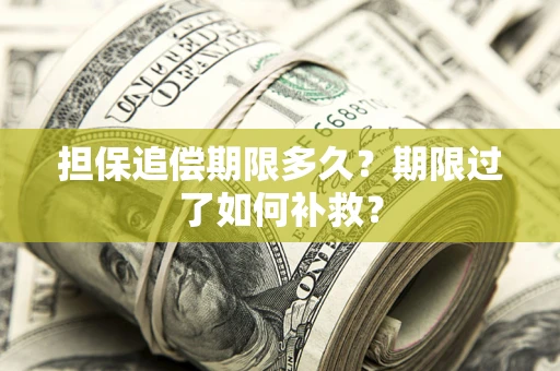 武汉担保追偿期限多久？期限过了如何补救？