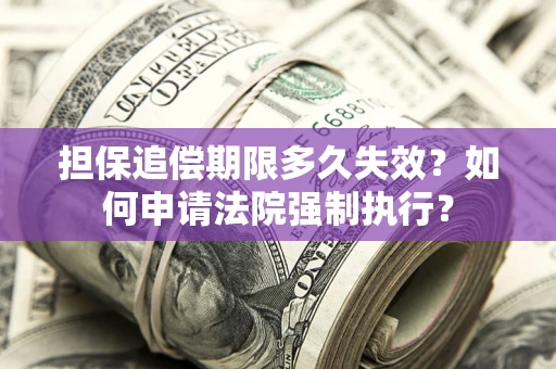 武汉担保追偿期限多久失效？如何申请法院强制执行？