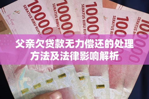 武汉父亲欠贷款无力偿还的处理方法及法律影响解析
