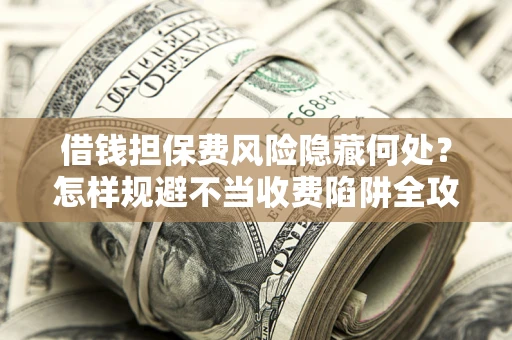 武汉借钱担保费风险隐藏何处？怎样规避不当收费陷阱全攻略！
