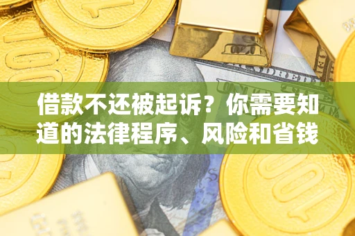 武汉借款不还被起诉？你需要知道的法律程序、风险和省钱技巧