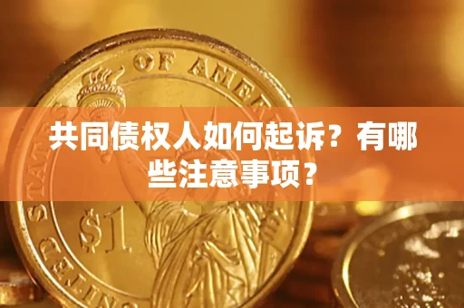 武汉共同债权人如何起诉？有哪些注意事项？